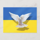 Zoek naar dove briefkaarten Voor iedereen