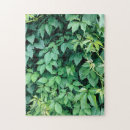 Zoek naar plantkunde puzzels Planten