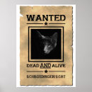 Zoek naar schrodinger kat posters Kwantummechanica