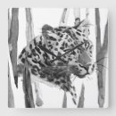 Zoek naar oerwoud klokken Cheetah