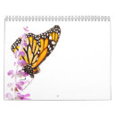 Zoek naar vlinder kalenders Macro