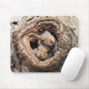 Zoek naar baby eekhoorn muismatten Knaagdieren