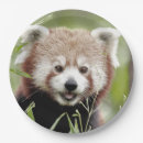 Zoek naar panda papieren bordjes Kawaii