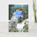 Zoek naar samoyed briefkaarten Sneeuw