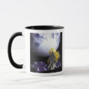 Zoek naar ruimtevaartuig mokken Universum