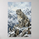 Zoek naar sneeuwluipaard posters Voor iedereen