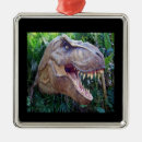 Zoek naar dinosaurus ornamenten Ieder kind