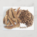Zoek naar mushroom briefkaarten Fungus