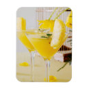 Zoek naar cocktail magneten Drinken