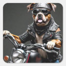 Zoek naar grappige boksers stickers Schattig