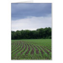 Zoek naar cornfield Landschap