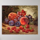 Zoek naar vruchten posters Perziken