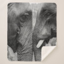 Zoek naar olifant dekens Wild