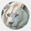 Zoek naar witte leeuw stickers Miljard