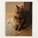Zoek naar vreedzaam notitieboeken Kat