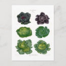 Zoek naar bagage briefkaarten Floreel