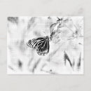 Zoek naar zwarte bloem briefkaarten Foto