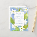 Zoek naar petrus briefkaarten Tweekleppig