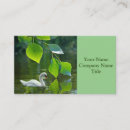 Zoek naar shabby visitekaartjes Elk persoon