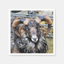 Zoek naar schaap servetten Elk persoon