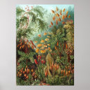 Zoek naar botanical kunst Nature