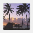 Zoek naar st kitts magneten Kust