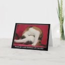 Zoek naar grappige kattenfoto kaarten Humoristisch