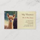 Zoek naar zijde visitekaartjes Elk persoon