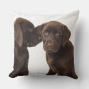 Zoek naar chocolade labrador kussens Dieren