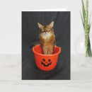 Zoek naar somalisch posters Halloween
