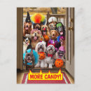 Zoek naar honden posters halloween uitnodigingen Huisdieren