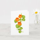Zoek naar nasturtium kaarten Helder