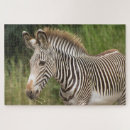 Zoek naar zebras puzzels Wilde dieren