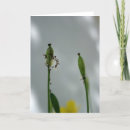 Zoek naar levensduur kaarten Elk persoon