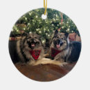 Zoek naar keeshond ornamenten Kerstmis