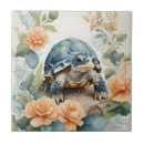 Zoek naar schildpad tegels Voor haar