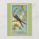 Zoek naar zwaluwen briefkaarten Vogels