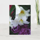 Zoek naar lelie kaarten Elk persoon