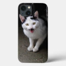 Zoek naar witte snor iphone hoesjes Kat