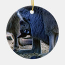 Zoek naar kangaroo ornamenten Wild