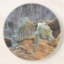 Zoek naar reptiel onderzetters Lizards