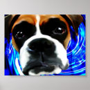 Zoek naar boksers posters Hond