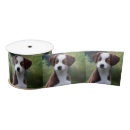 Zoek naar collie lint Puppy