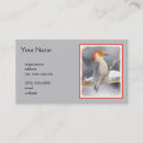 Zoek naar wilde vogel visitekaartjes Rood