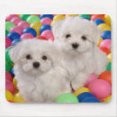 Zoek naar bichon frise muismatten Schattig