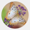 Zoek naar vlinder vleugels stickers Macro