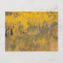 Zoek naar lambert briefkaarten Espen