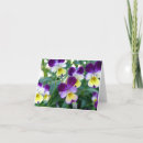 Zoek naar viooltje briefkaarten Groen