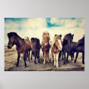 Zoek naar mooi paard kunst Pony