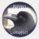 Zoek naar zwarte kraai stickers Humor